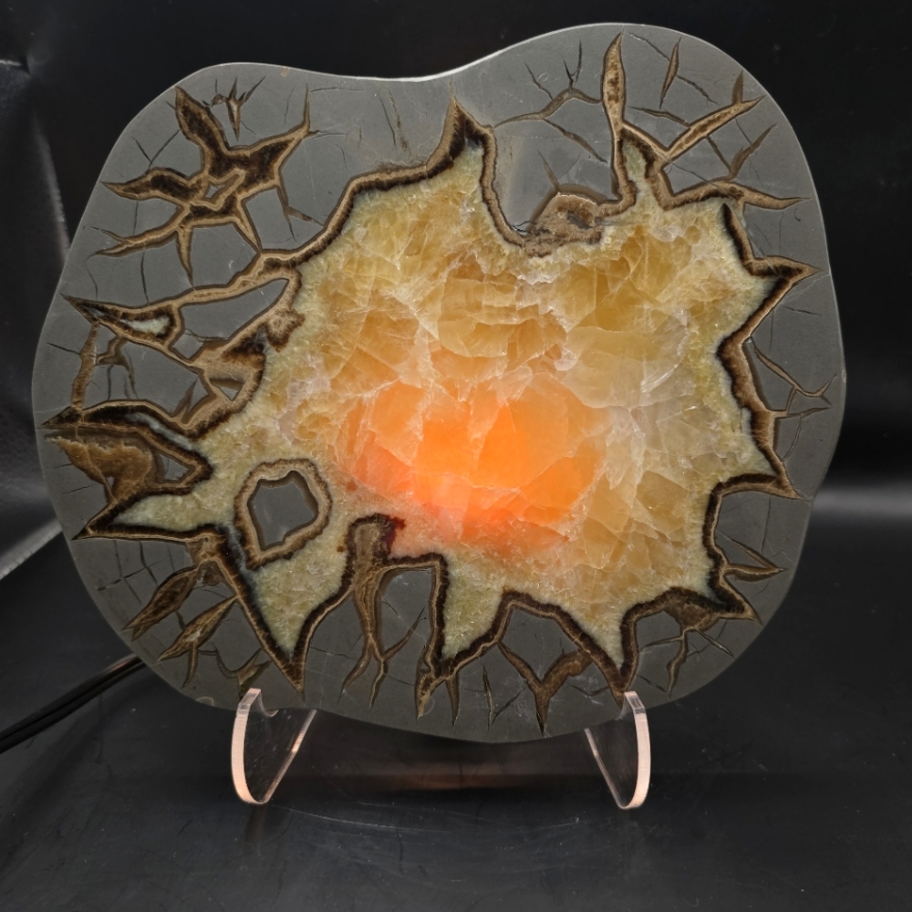 Septarian slab w night light stand #4